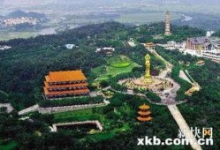 莲花山最新爆料,揭秘神秘事件背后的真相