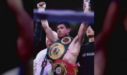 拳击马保国最新爆料图片,揭秘拳击界惊人内幕