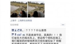 上海今日爆料事件最新,惊曝事件背后真相，网友热议不断