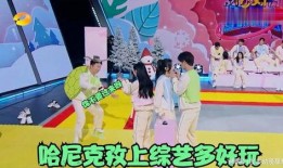 哈尼和老秦的最新动态爆料,精彩瞬间大盘点