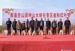 河南都市爆料郏县新闻最新消息,河南都市爆料揭示郏县新闻焦点