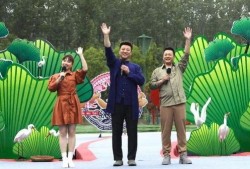 龙子湖大学爆料视频最新,校园风云再起，真相背后引热议