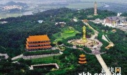 莲花山最新爆料,揭秘神秘事件背后的真相