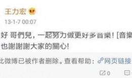 王力宏微博爆料最新消息,最新动态揭秘！