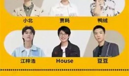 笑果文化最新爆料,揭秘娱乐圈幕后真相！”