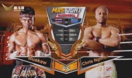 最新拳击爆料,最新爆料揭秘拳击界惊天秘密