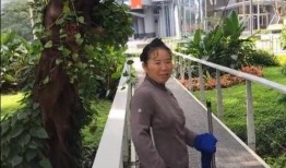 深圳黄阿姨最新爆料,揭开事件背后惊人真相！